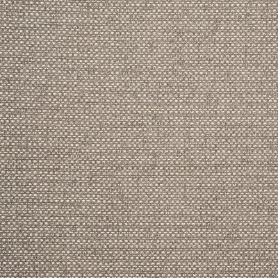 Clarke and Clarke CASANOVA F0723 TAUPE