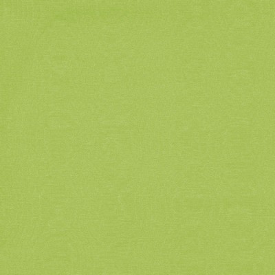 Clarke and Clarke MOIRE F0724 LIME