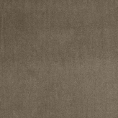 Clarke and Clarke ALVAR F0753 BARK