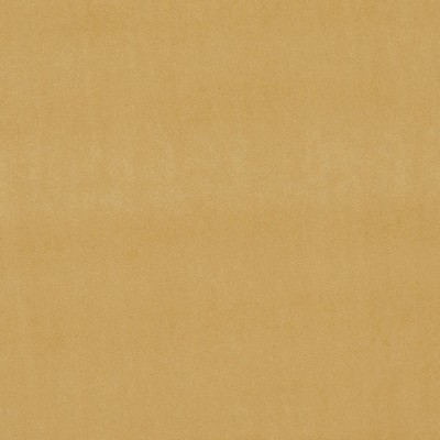 Clarke and Clarke ALVAR F0753 GOLD