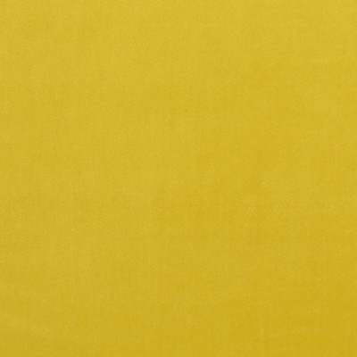 Clarke and Clarke ALVAR CHARTREUSE