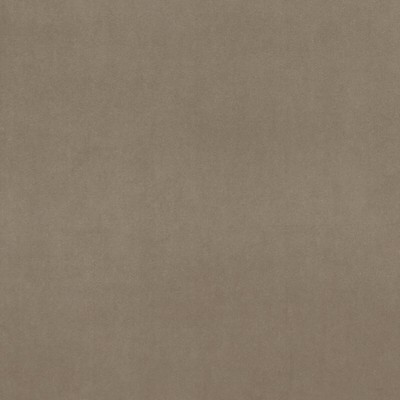 Clarke and Clarke ALVAR CLAY