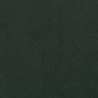 Clarke and Clarke ALVAR FOREST