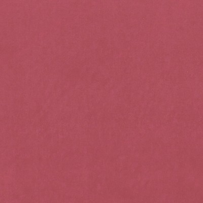 Clarke and Clarke ALVAR PEONY