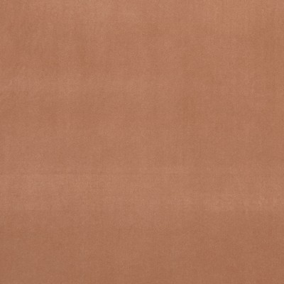 Clarke and Clarke ALVAR SIENNA