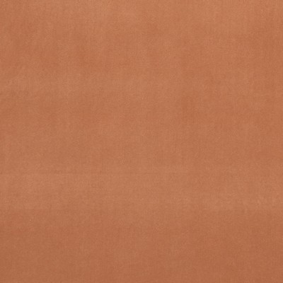 Clarke and Clarke ALVAR TAMARIND