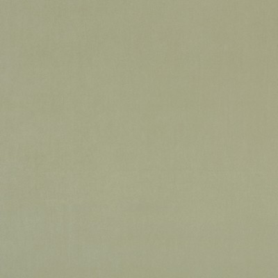 Clarke and Clarke ALVAR THYME