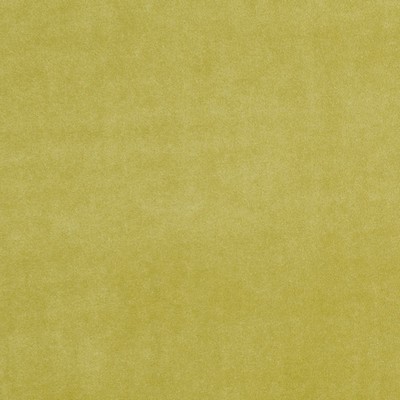 Clarke and Clarke ALVAR F0753 OLIVE