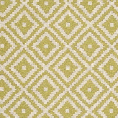 Clarke and Clarke TAHOMA F0810 PALM