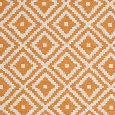 Clarke and Clarke TAHOMA F0810 PUMPKIN