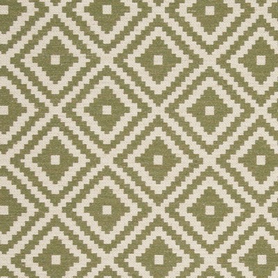 Clarke and Clarke TAHOMA F0810 MOSS