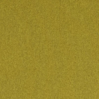 Clarke and Clarke HIGHLANDER F0848 PALM