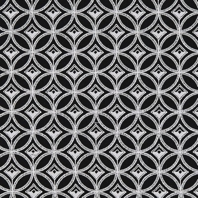 Clarke and Clarke BW1009 F0881 BLACK/WHITE