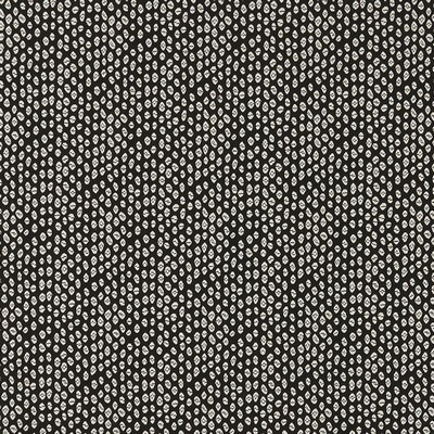 Clarke and Clarke BW1015 F0888 BLACK/WHITE