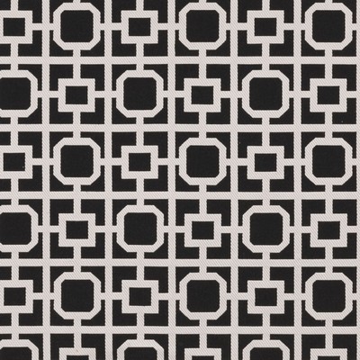 Clarke and Clarke BW1017 F0890 BLACK/WHITE