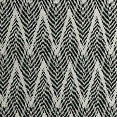 Clarke and Clarke BW1022 F0895 BLACK/WHITE