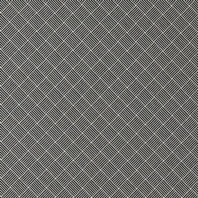 Clarke and Clarke BW1031 F0904 BLACK/WHITE