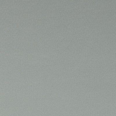 Clarke and Clarke SPECTRUM BIRCH