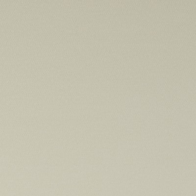 Clarke and Clarke SPECTRUM PARCHMENT