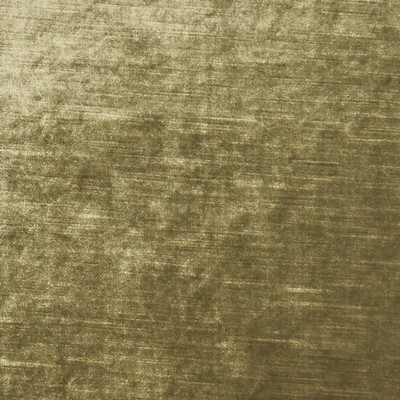 Clarke and Clarke F1069 1-ANTIQUE