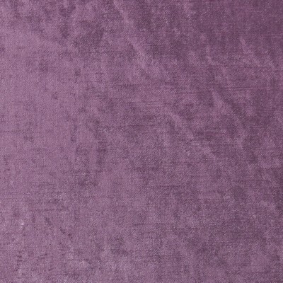 Clarke and Clarke F1069 4-BERRY