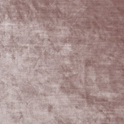 Clarke and Clarke F1069 5-BLUSH