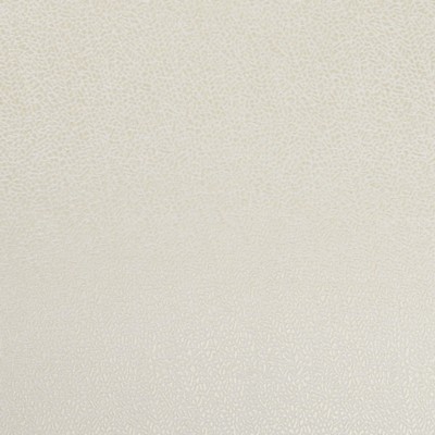 Clarke and Clarke F1091 1-IVORY/GILVER