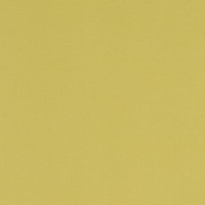 Clarke and Clarke ALORA CELERY