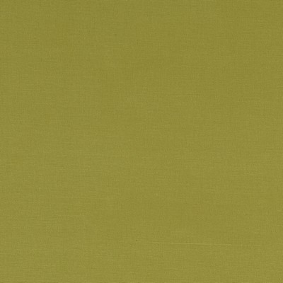 Clarke and Clarke ALORA CITRUS