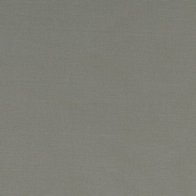 Clarke and Clarke ALORA MINK