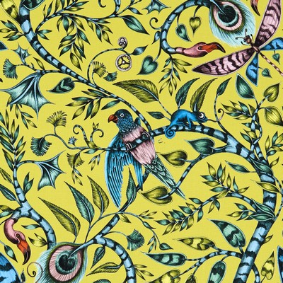 Clarke and Clarke ROUSSEAU LIME