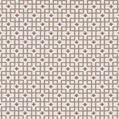 Clarke and Clarke AXIS RASPBERRY