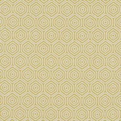 Clarke and Clarke LUNAR CITRON