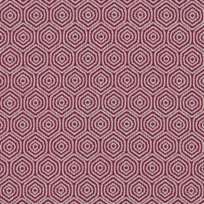 Clarke and Clarke LUNAR RASPBERRY