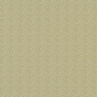 Clarke and Clarke MERCURY CITRON