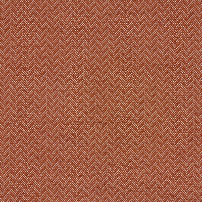 Clarke and Clarke TRINITY SPICE