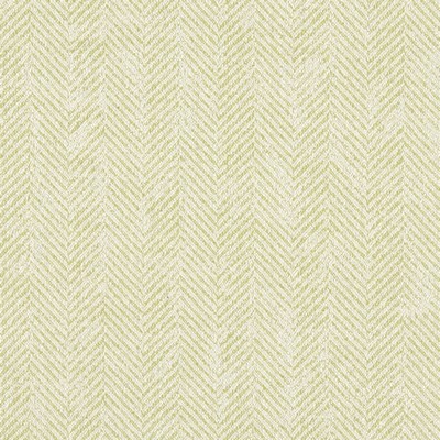 Clarke and Clarke ASHMORE CITRON