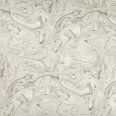 Clarke and Clarke MOLTEN TAUPE