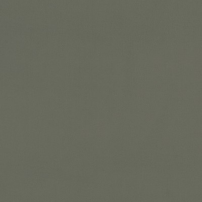 Clarke and Clarke RENZO CHARCOAL