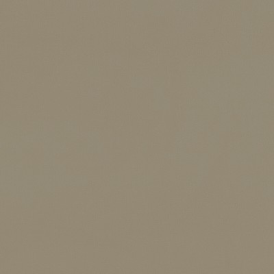 Clarke and Clarke RENZO COCOA