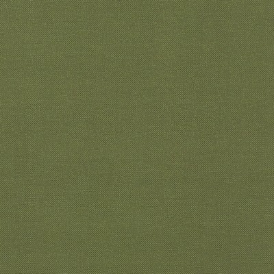 Clarke and Clarke RENZO FOREST