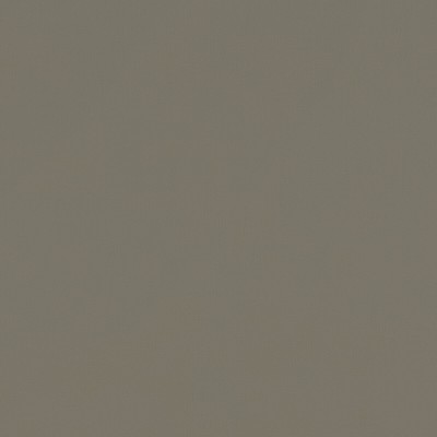 Clarke and Clarke RENZO MOCHA