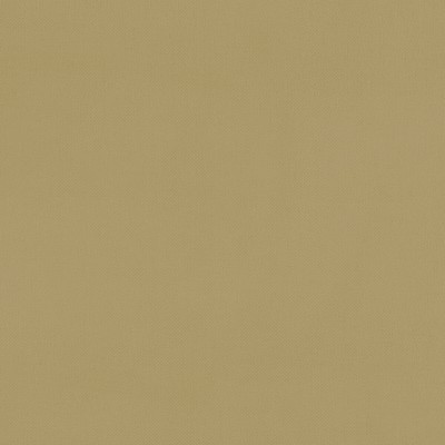 Clarke and Clarke RENZO OCHRE