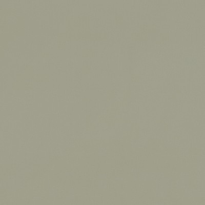 Clarke and Clarke RENZO SAGE