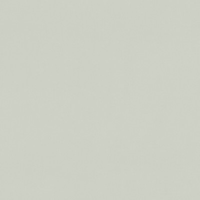 Clarke and Clarke RENZO SILVER