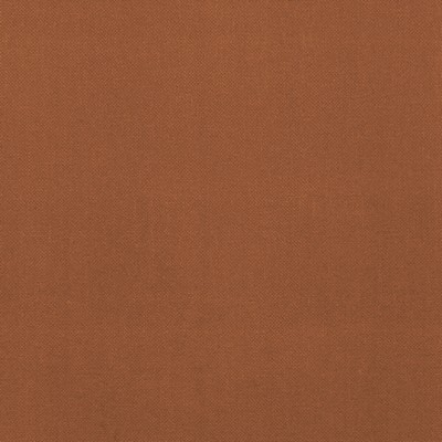 Clarke and Clarke RENZO SPICE