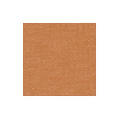 Clarke and Clarke AMALFI PUMPKIN