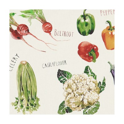 Clarke and Clarke FARMERS MARKET CREAM