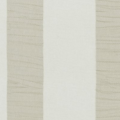 Clarke and Clarke LUCIDO CHAMPAGNE