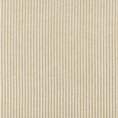 Clarke and Clarke MATTEO CHAMPAGNE